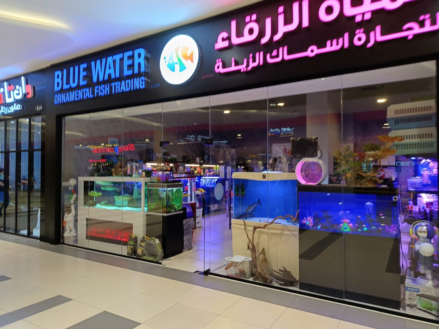 Blue Water Ornamental Fish